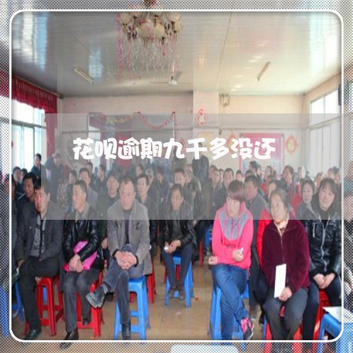 花呗逾期九千多没还