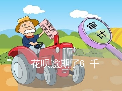 花呗逾期了6千 花呗逾期了6千