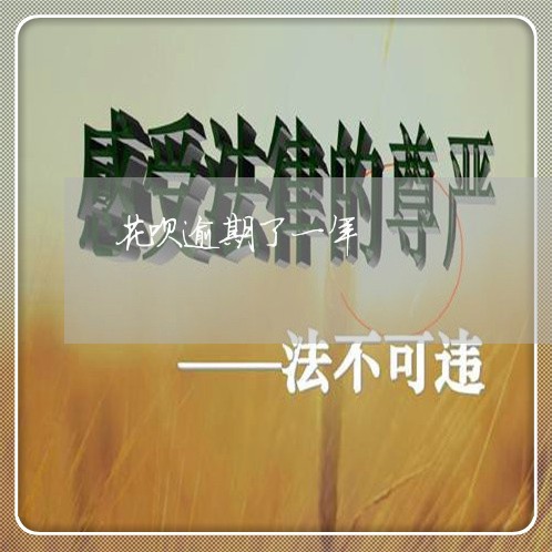 花呗逾期了一年 花呗逾期了一年