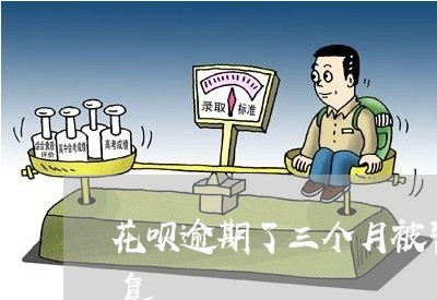 花呗逾期了三个月被暂停使用要多久才能恢复