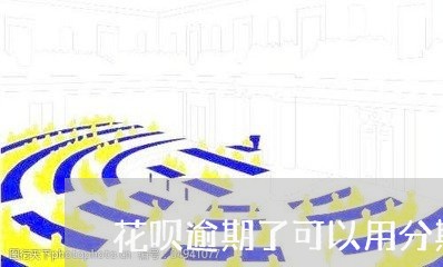 花呗逾期了可以用分期乐/2023112867047