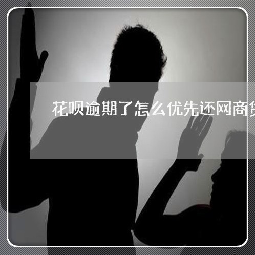 花呗逾期了怎么优先还网商贷的款/2023012228830