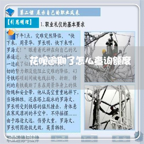 花呗逾期了怎么查询额度