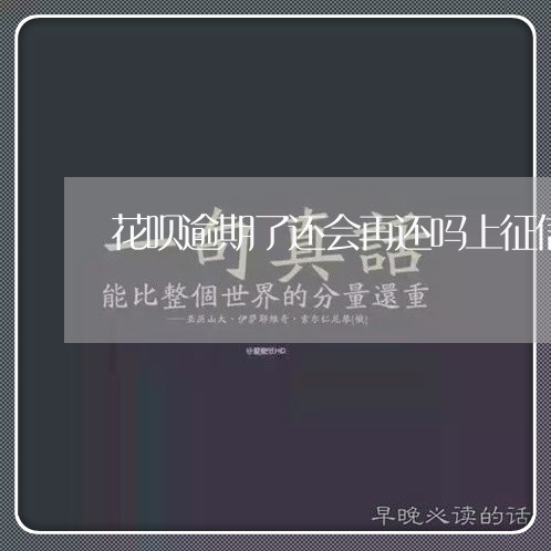 花呗逾期了还会再还吗上征信吗/2023042269169