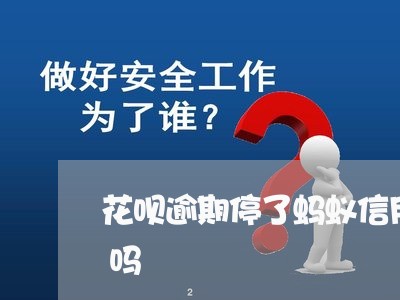 花呗逾期停了蚂蚁信用分到600可以恢复吗