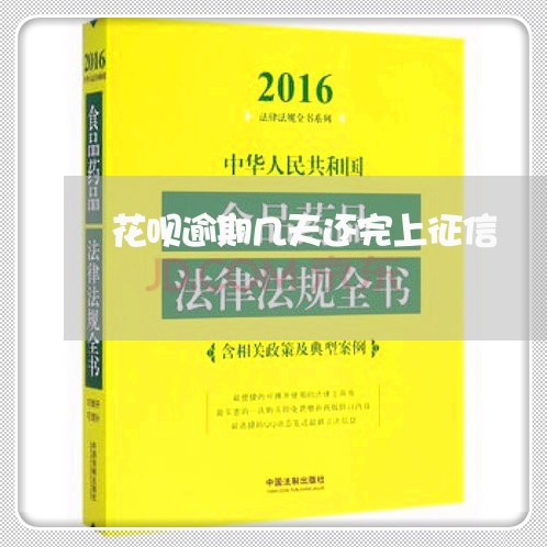 花呗逾期几天还完上征信/2023062063936