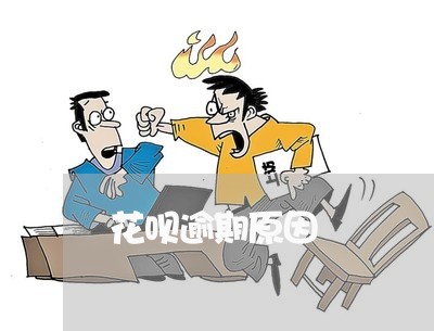 花呗逾期原因 花呗逾期原因