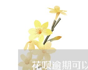 花呗逾期可以每月还吗吗/2023022733669