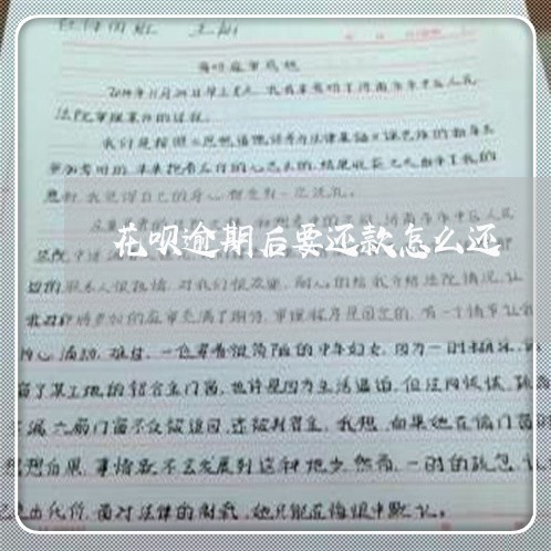 花呗逾期后要还款怎么还 花呗逾期后要还款怎么还