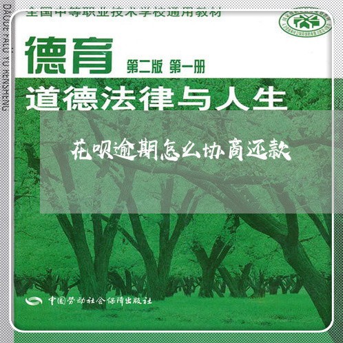 花呗逾期怎么协商还款/2023012268481 花呗逾期怎么协商还款/2023012268481
