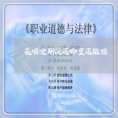 花呗逾期没还哪里还能借/2023112785025