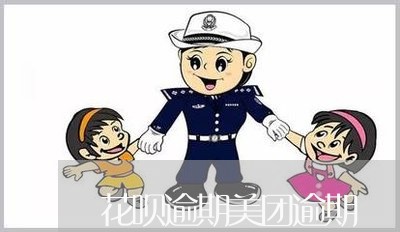 花呗逾期美团逾期/2023071559483