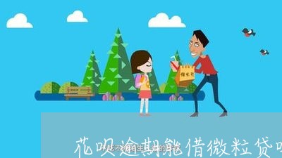 花呗逾期能借微粒贷吗怎么还/2023032671806