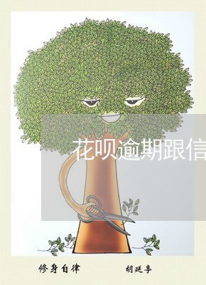 花呗逾期跟信用卡逾期一样的吗/2023062886248