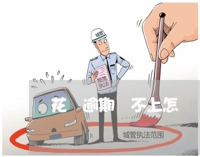 花唄逾期還不上怎麼辦