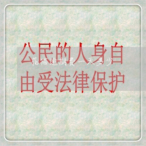 花猫逾期费一天多少 花猫逾期费一天多少