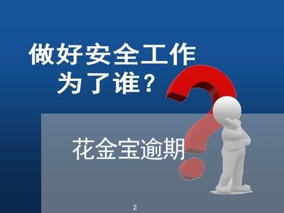 花金宝逾期