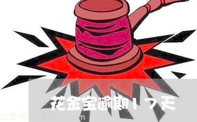花金宝逾期17天