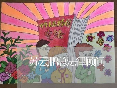 苏云鹏总法律顾问 苏云鹏总法律顾问