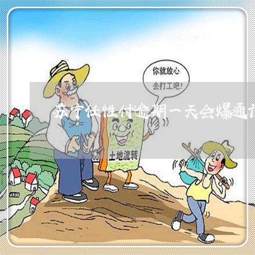苏宁任性付逾期一天会爆通讯录吗