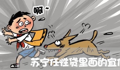 苏宁任性贷里面的宜信逾期 苏宁任性贷里面的宜信逾期