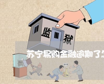 苏宁易购金融逾期了怎么办