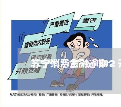 苏宁消费金融逾期2天会上征信吗 苏宁消费金融逾期2天会上征信吗