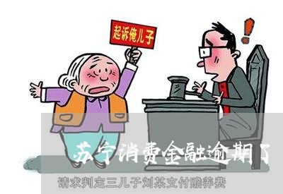 苏宁消费金融逾期了