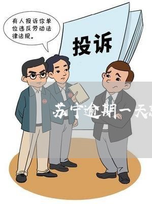 苏宁逾期一天就打联系人