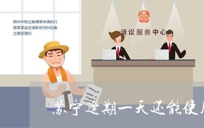 苏宁逾期一天还能使用吗