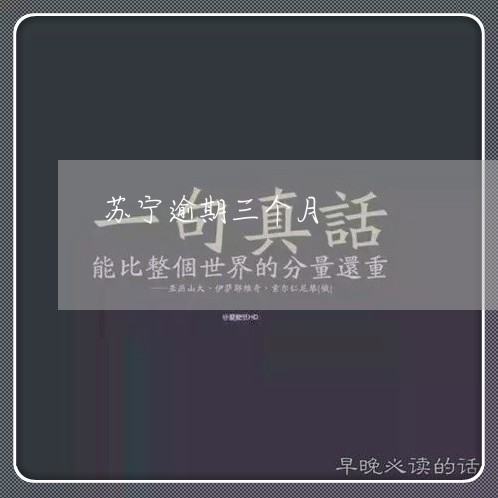 苏宁逾期三个月