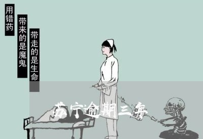 苏宁逾期三年