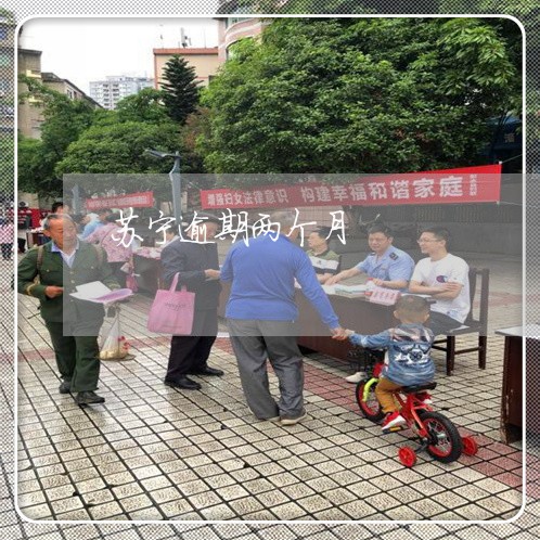 苏宁逾期两个月