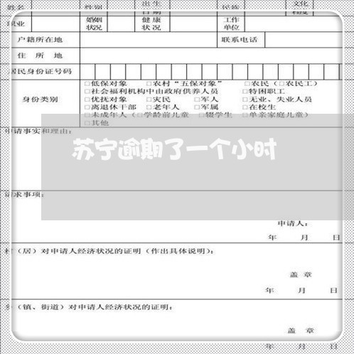 苏宁逾期了一个小时 苏宁逾期了一个小时