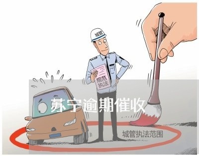 苏宁逾期催收 苏宁逾期催收