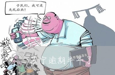 苏宁逾期半年了