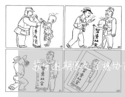 苏宁逾期很久了想协商还钱