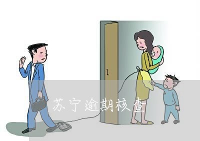 苏宁逾期核查