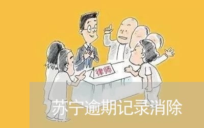 苏宁逾期记录消除 苏宁逾期记录消除