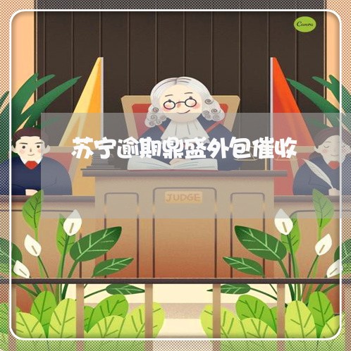 苏宁逾期鼎盛外包催收