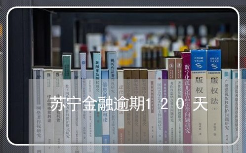 苏宁金融逾期120天