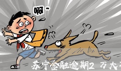 苏宁金融逾期2万大不大