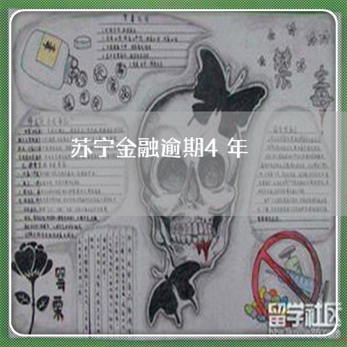 苏宁金融逾期4年