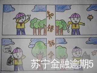 苏宁金融逾期5天