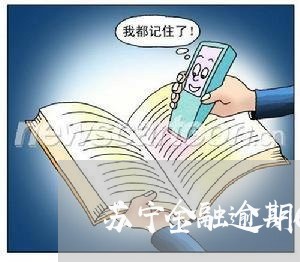 苏宁金融逾期60天 苏宁金融逾期60天