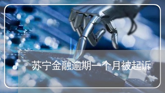苏宁金融逾期一个月被起诉