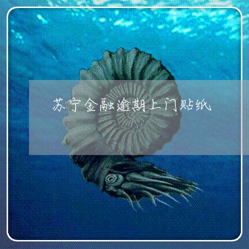 苏宁金融逾期上门贴纸 苏宁金融逾期上门贴纸