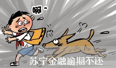 苏宁金融逾期不还