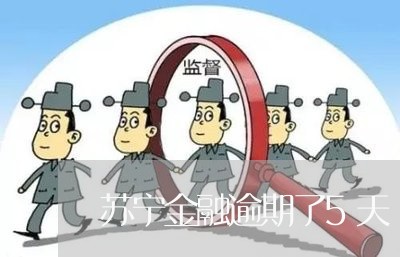 苏宁金融逾期了5天