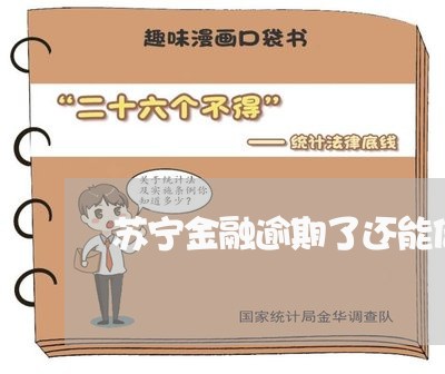 苏宁金融逾期了还能借吗 苏宁金融逾期了还能借吗